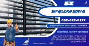 הרחקת יונים בקריות