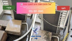 הרחקת כל סוגי היונים בקריות