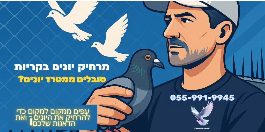 מרחיק יונים בקריות