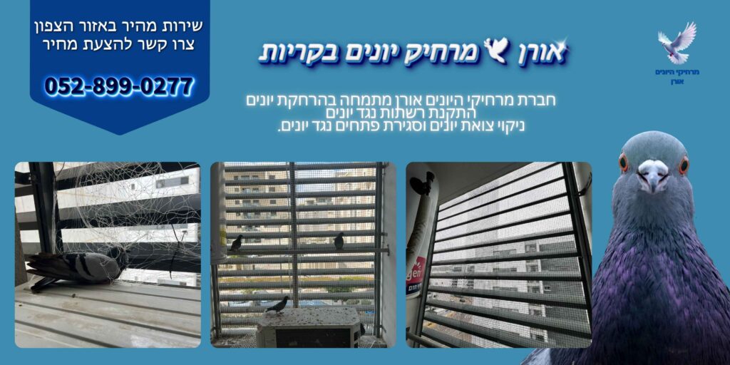 אורן מרחיק יונים בקריות