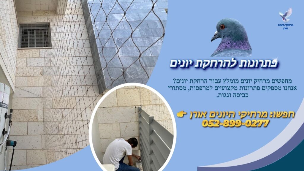 פתרונות להרחקת יונים